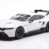 Ford Mustang GT3 Racing Spec Plain Body Version 2024 weiß 1:18 Ixo