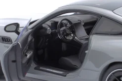 Mercedes-Benz AMG GT 43 alpingrau 1:18 NZG
