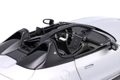 Mercedes-Benz AMG PureSpeed Baujahr 2025 silber metallic 1:18 NZG